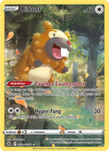 Bidoof #GG29/GG70 - Crown Zenith: Galarian Gallery - Near Mint
