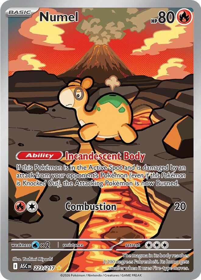 Numel #223/217 - ME: Ascended Heroes - Near Mint